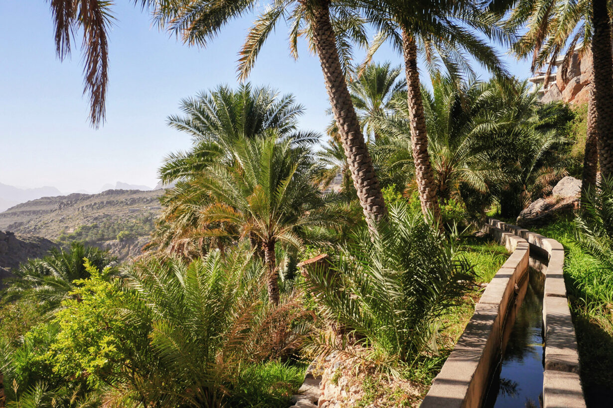 Top 5 des meilleurs hôtels à Djebel Akhdar dans les montagnes à Oman