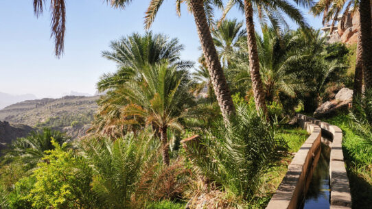 Top 5 des meilleurs hôtels à Djebel Akhdar dans les montagnes à Oman